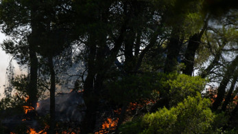 Φωτιές: Σύλληψη εμπρηστή στην Πάτρα – Υπό έλεγχο στη Θεσσαλονίκη