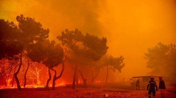 Στο μικροσκόπιο των Αρχών οι φωτιές σε Έβρο και Λέσβο – Τα σενάρια και η εμπλοκή της ΕΥΠ