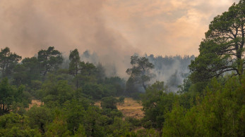 Η επόμενη ημέρα στο Εθνικό Πάρκο Δαδιάς