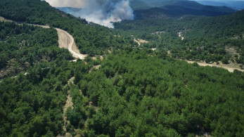 Σε ύφεση η πυρκαγιά στη Ζάκυνθο