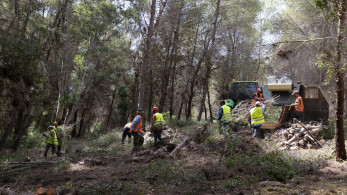 Μάχη με το χρόνο στη φωτιά στα Κρέστενα