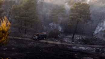 Σε επιφυλακή για τη φωτιά στη Θάσο