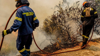 Πυροσβεστική: Συνολικά 35 δασικές πυρκαγιές εκδηλώθηκαν το τελευταίο 24ωρο