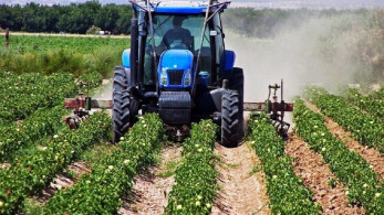 Τέλη Σεπτεμβρίου ολοκληρώνονται οι πρώτες πληρωμές των «Νέων Γεωργών»