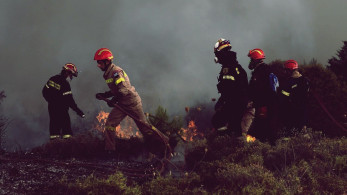 Μετά από 20 χρόνια εγκρίθηκαν 500 προσλήψεις μόνιμου προσωπικού στις δασικές υπηρεσίες