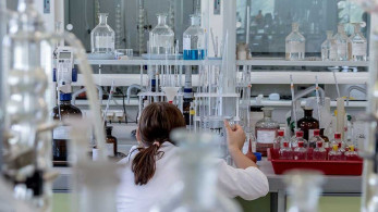 Έρευνα «ελπίδα» για απειλούμενα είδη παγκοσμίως – Δημιουργήθηκε το πρώτο στον κόσμο έμβρυο γαϊδάρων με εξωσωματική γονιμοποίηση