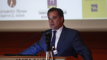 Γεωργιάδης: Η χώρα μας θα επιτύχει ρεκόρ άμεσων ξένων επενδύσεων και το 2023