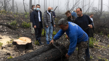 Ξεκίνησε η υλοποίηση του β’ κύκλου προσλήψεων ρητινοκαλλιεργητών
