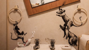 Αρουραίοι «εισέβαλαν» στο μπανιο του Banksy