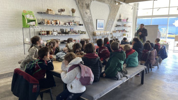 ΟΚΑΑ: Εκπαιδευτικές δράσεις για σχολεία της Αττικής το 2023