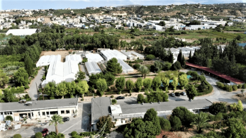 Tο χαρούπι στην Κρήτη – Το παρελθόν, το μέλλον και το νέο ερευνητικό έργο