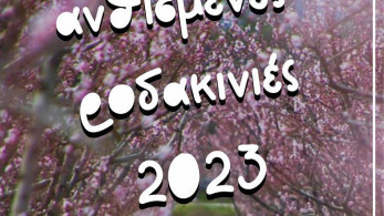 Βέροια: Ο τουρισμός της Ανθισμένης Ροδακινιάς….ξεκίνησε-Εκατοντάδες επισκέπτες στο ροζ κάμπο