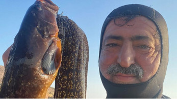 Πανηγυρισμοί Πολάκη για την απομάκρυνση Νικολάου -Με τι την παρομοιάζει