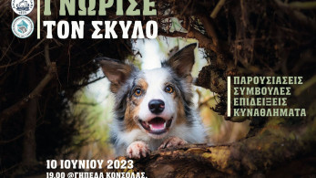 «Γνώρισε τον σκύλο»: Η πανέμορφη εκδήλωση στη Σαλαμίνα για τους τετράποδους φίλους μας