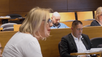 Απίστευτη δήλωση υποψήφιας του ΣΥΡΙΖΑ: «εθνικιστικές σάλτσες» το ψήφισμα για τον Μπελέρη