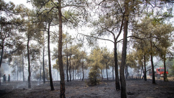 Σέιχ Σου: ραντάρ θα εντοπίζει στο λεπτό τη φωτιά