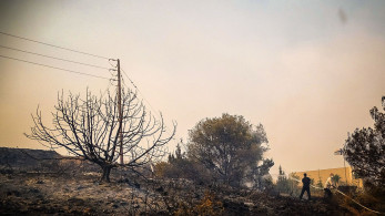 Φωτιές: μάχη με τις αναζωπυρώσεις στη Ρόδο - Κάηκαν σπίτια και ελάφια