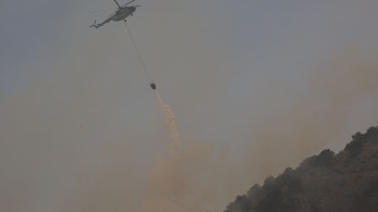 Φωτιά στα Αργυραίικα Πηλίου - Μάχη για να τεθεί υπό έλεγχο