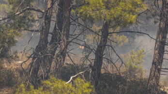 Φωτιές: σε κατάσταση έκτακτης ανάγκης η Ρόδος - Οριοθετήθηκε στα Βίταλα Ευβοίας