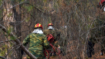 Φωτιές: ο ρόλος των αντιπυρικών ζωνών στην κατάσβεση των πυρκαγιών - στην πρώτη γραμμή τα μηχανήματα του Στρατού