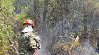 Φωτιά σε Κουβαρά, Λουτράκι και Καπαρέλλι: συνδράμουν στρατός και αστυνομία