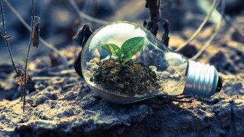 Deloitte Ελλάδος: κίνδυνοι από την όψιμη μετάβαση στην πράσινη οικονομία