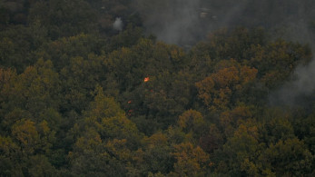 Φωτιά στον Έβρο: επιμένουν οι αναζωπυρώσεις