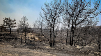 Ρόδος: «στάχτη» 135.000 στρέμματα δασικής έκτασης