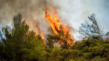 Φθιώτιδα: φωτιά στην περιοχή «Μεταλλείο Τσούκας» του Δήμου Λοκρών