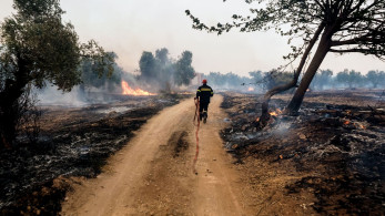 Φωτιές: αναζητούνται δύο ύποπτοι για εμπρησμό στην Εύβοια
