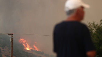 Φωτιά στην Αλεξανδρούπολη: μάχη να ανακοπεί η πορεία προς τον οικισμό της Δαδιάς