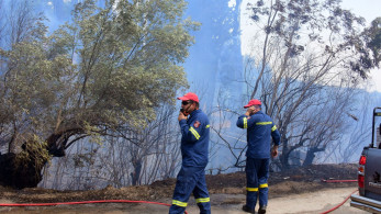 Οριοθετήθηκε σε 30 λεπτά η φωτιά στην Αργιθέα Παιανίας