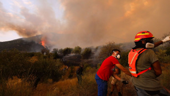 Φωτιές: σκληρή μάχη στη Βοιωτία -Ανησυχία για το μέτωπο του Έβρου