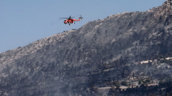 Φωτιές: νέα εστία στον Αυλώνα - Καταγγελίες για απόπειρες εμπρησμού και προσαγωγές
