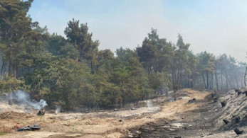 Ναουάλ Σουφί: αμείλικτα ερωτήματα για τη «σκοτεινή» ακτιβίστρια