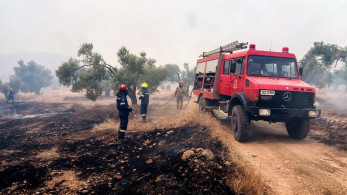Φωτιά στην Εύβοια: μήνυμα του 112 σε Αρτάκη και Βατώντα για εκκένωση προς Χαλκίδα