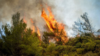 Φωτιά στην Κάρυστο: μήνυση κατά παντός υπεύθυνου από τον Γιάννη Μανώλη