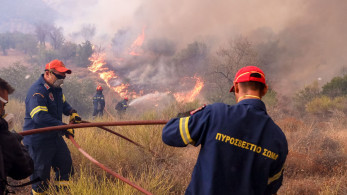 Πυροσβέστες απεγκλώβισαν 25 μετανάστες στο δάσος της Δαδιάς