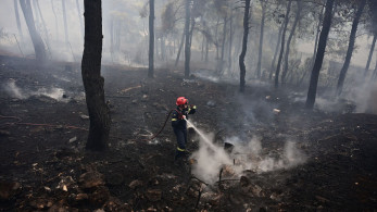 Φωτιά στη Σταμάτα - Προσαγωγή υπόπτου για εμπρησμό