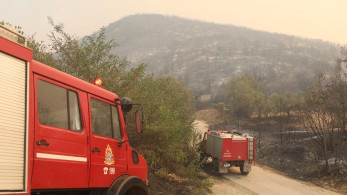 Έβρος: τα στοιχεία «δείχνουν» εμπρησμούς