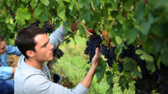Παρατείνεται έως 30 Σεπτεμβρίου η προθεσμία καταβολής της εισφοράς των αγροτών στον ΕΛΓΑ