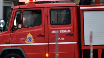 Πυρκαγιές σε Ζάκυνθο και Κεφαλονιά: Επιχειρεί η Πυροσβεστική Υπηρεσία