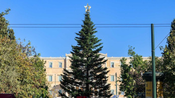 Δήμος Αθηναίων: την Πέμπτη ανάβει το χριστουγεννιάτικο δέντρο στο Σύνταγμα