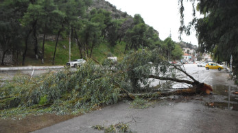 Κέρκυρα:  χαλάζι και πτώσεις δέντρων από κεραυνούς