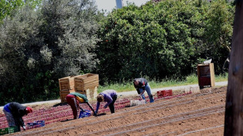 Υπουργεία Εργασίας και Μετανάστευσης: Μπαίνει τάξη στην αταξία, συνδέεται παραμονή με εργασία