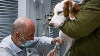 Τι πρέπει να γνωρίζετε για τις τράπεζες αίματος ζώων