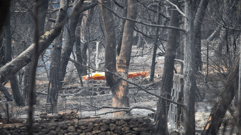 Σήμερα η απόφαση του δικαστηρίου για την τραγωδία στο Μάτι