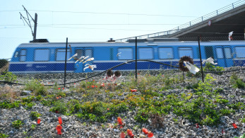 Πόρισμα της Hellenic Train για τα Τέμπη ανατρέπει όλες τις θεωρίες συνωμοσίας