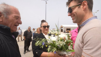 Tα λεφτόδεντρα του Κασσελάκη