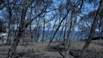 Διακοπή έως 16/7 στη δίκη για το Μάτι